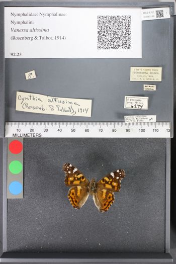 Media type: image;   Entomology 93189